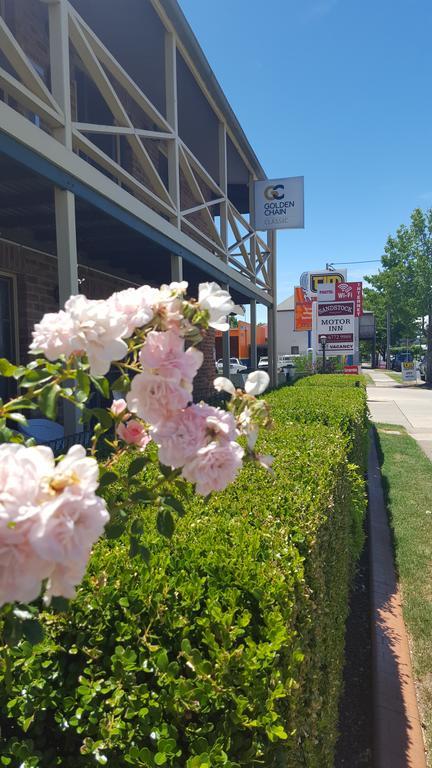Sandstock Motor Inn Armidale Exteriör bild